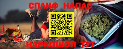 стаф Заводоуковск