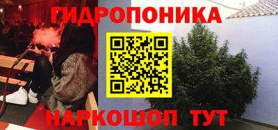 стаф Заводоуковск