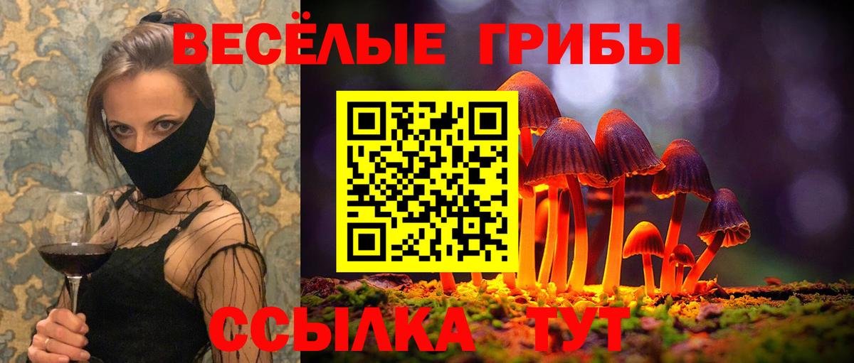 Псилоцибиновые грибы MAGIC MUSHROOMS  Вход с VPN  Муром  купить наркотик  Галлюциногенные грибы прущие грибы 