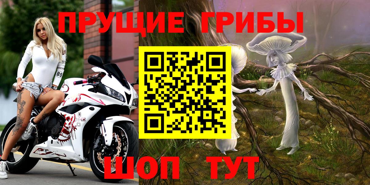 Галлюциногенные грибы Psilocybe Муром